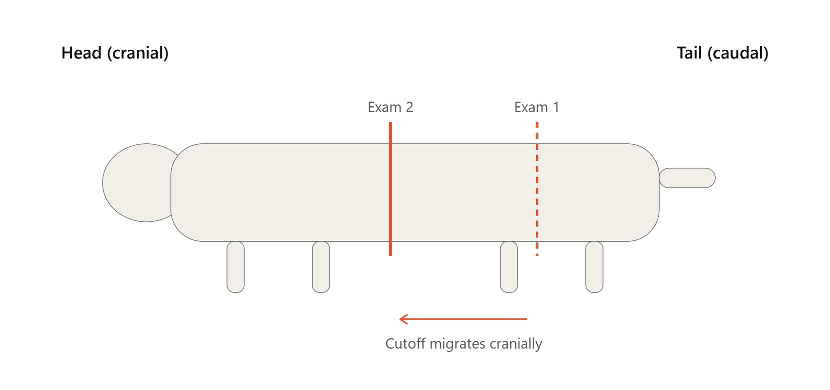 Cutaneous trunci cutoff moving cranially (Signs)